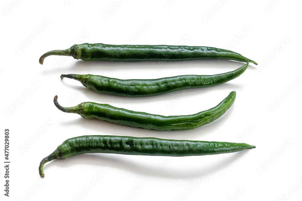 Green chili pods - hot capsicum of elongated shape Green chili pods - hot capsicum of elongated shape