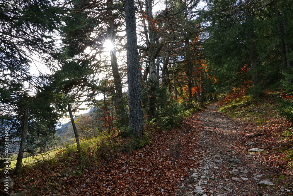 Randonnée automnale au départ d'Engins vers le plateau de la Molière dans le Vercors Randonnée automnale au départ d'Engins vers le plateau de la Molière dans le Vercors
