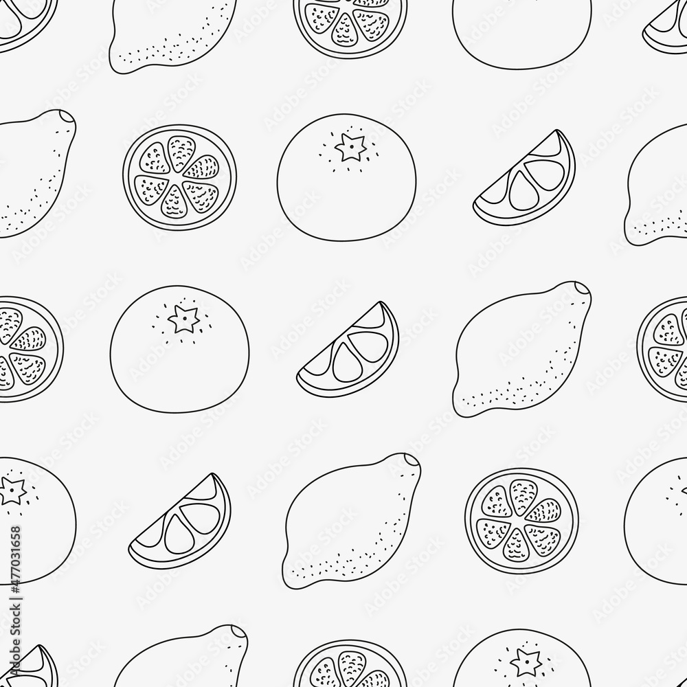 Vector continuous contour pattern with citruses, oranges, lemons Vector continuous contour pattern with citruses, oranges, lemons