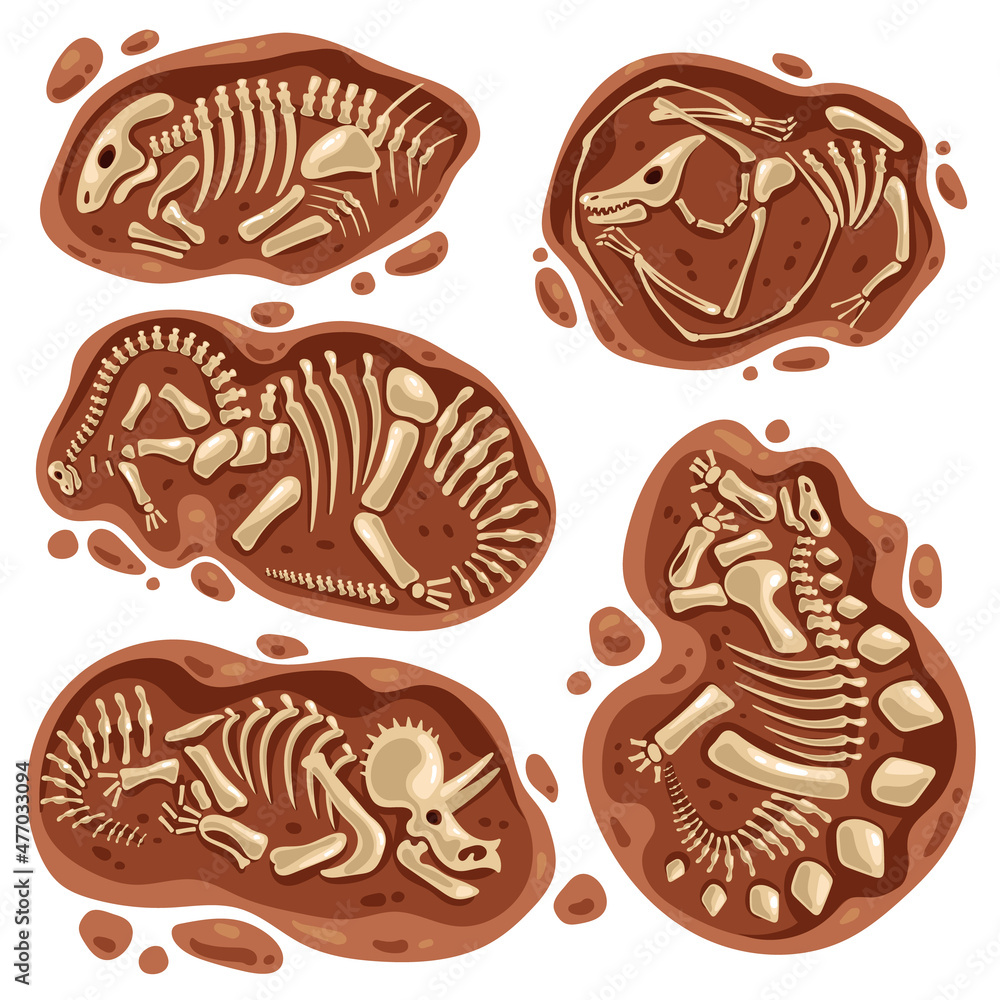 Fossil design deals