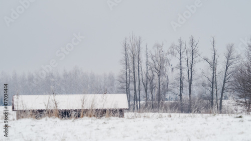 Poland, Mazury, wieś. pole, łąka, drzewa, zima, kolor, czarnobiałe, pejzaż, las, 