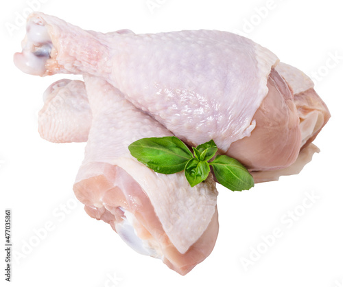 raw chicken drumstick isolated on white background