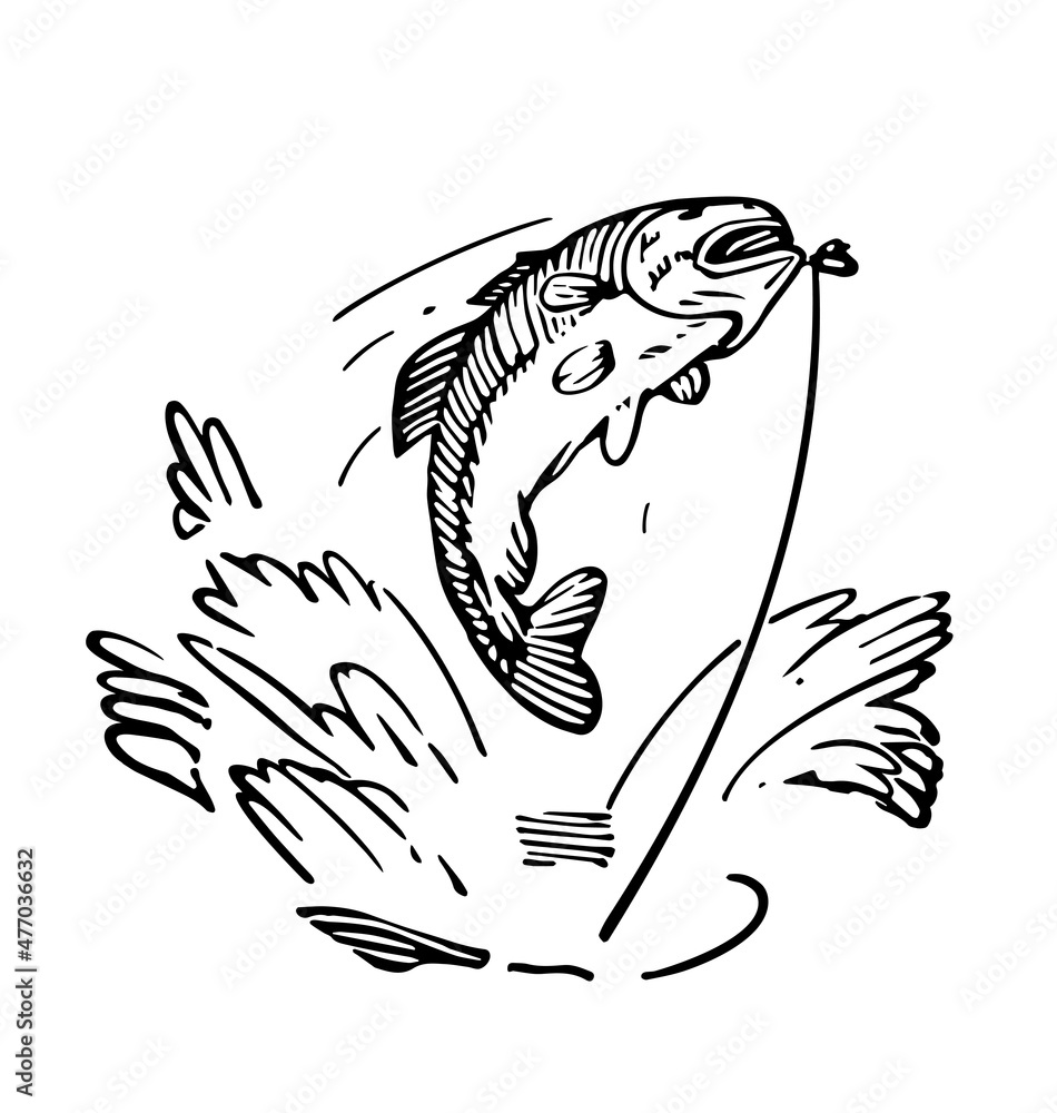 sketch fish being caught on line illustration sketch fish being caught on line illustration