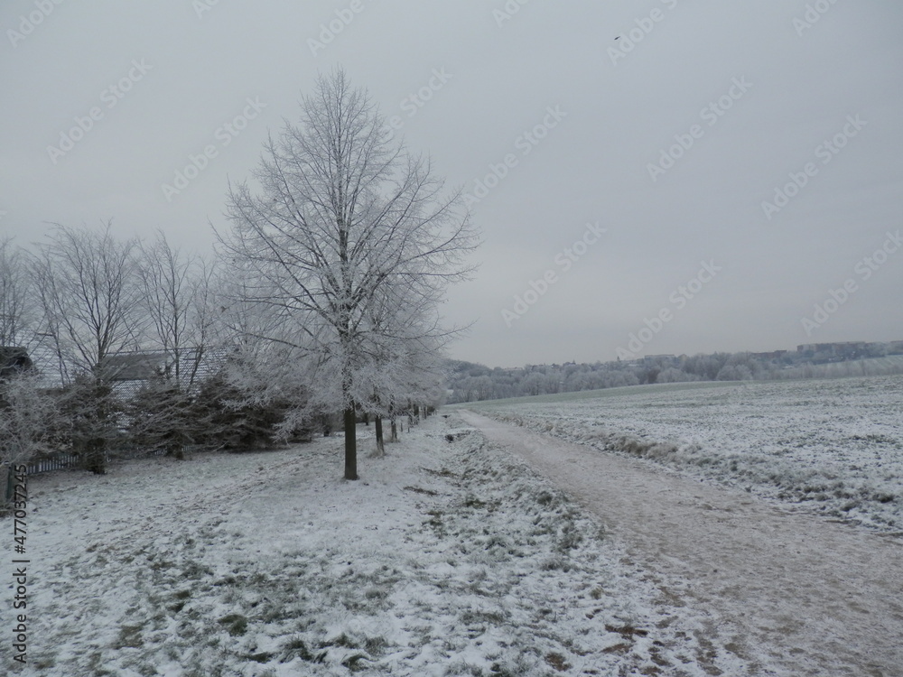 Nebel und Raureif in der Windlücke bei Nordhausen Nebel und Raureif in der Windlücke bei Nordhausen