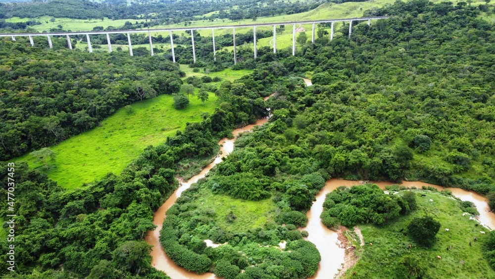 Ponte - Natureza - Brasil - Floresta - Rio