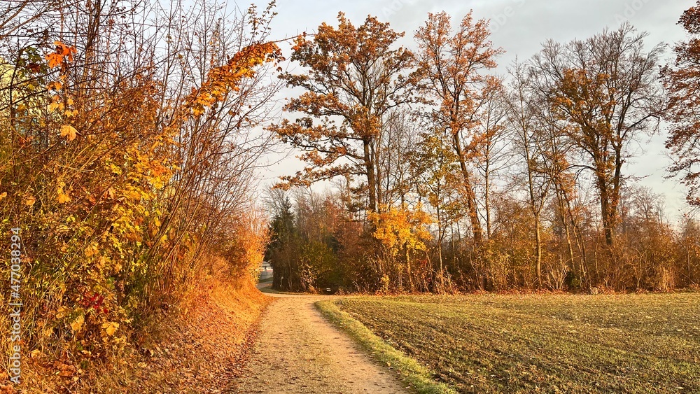 Naklejka premium Bunte Herbststimmung