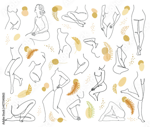 Collection. Silhouettes of the figure of a girl and a leaf of a plant in a modern one-line style. Solid line, aesthetic outline for home decor, posters, stickers, logo. Vector illustration set.