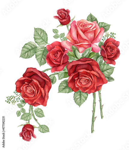 Watercolor dark red rose branch  burgundy rose flower  wedding arragement  bridal shower element Vintage realistic botanical  rose