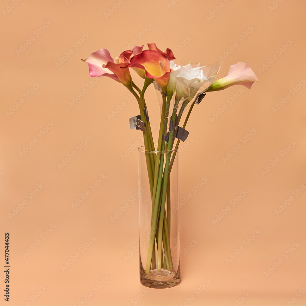 Decorative ceramic vase. Beautiful floral arrangement of af artificial plant in flower pot. Stylish Interior composition in home design Decorative ceramic vase. Beautiful floral arrangement of af artificial plant in flower pot. Stylish Interior composition in home design