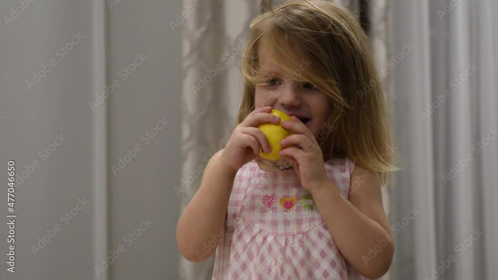 Portrait of cute baby girl in dress who eats a sour lemon while sitting indoors on high chair Portrait of cute baby girl in dress who eats a sour lemon while sitting indoors on high chair