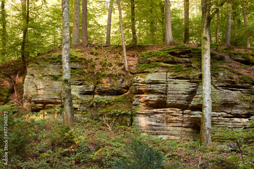 An enchanting scenery of a hiking route in the woods of Beaufort  Luxembourg