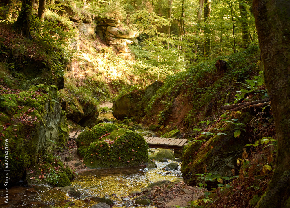 A beautiful shot of a wooden board in the forest in Luxembourg. A beautiful shot of a wooden board in the forest in Luxembourg.