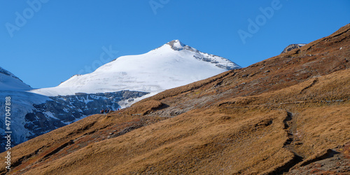 Snowy mountain summit behind a grassy slope