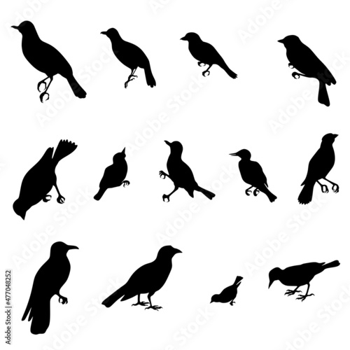 set of silhouettes of birds svg vector illustration