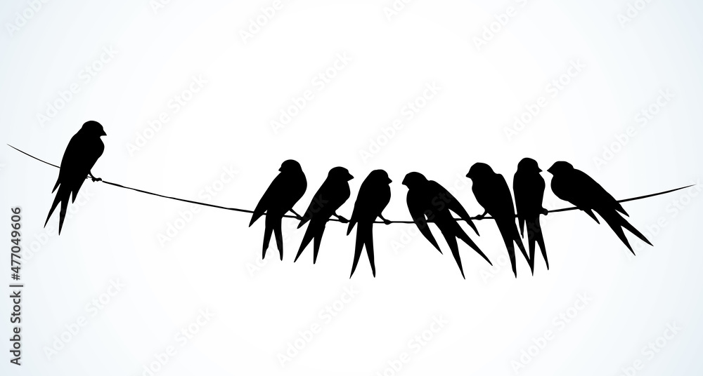Фотография Swallows are sitting on a wire. Vector drawing