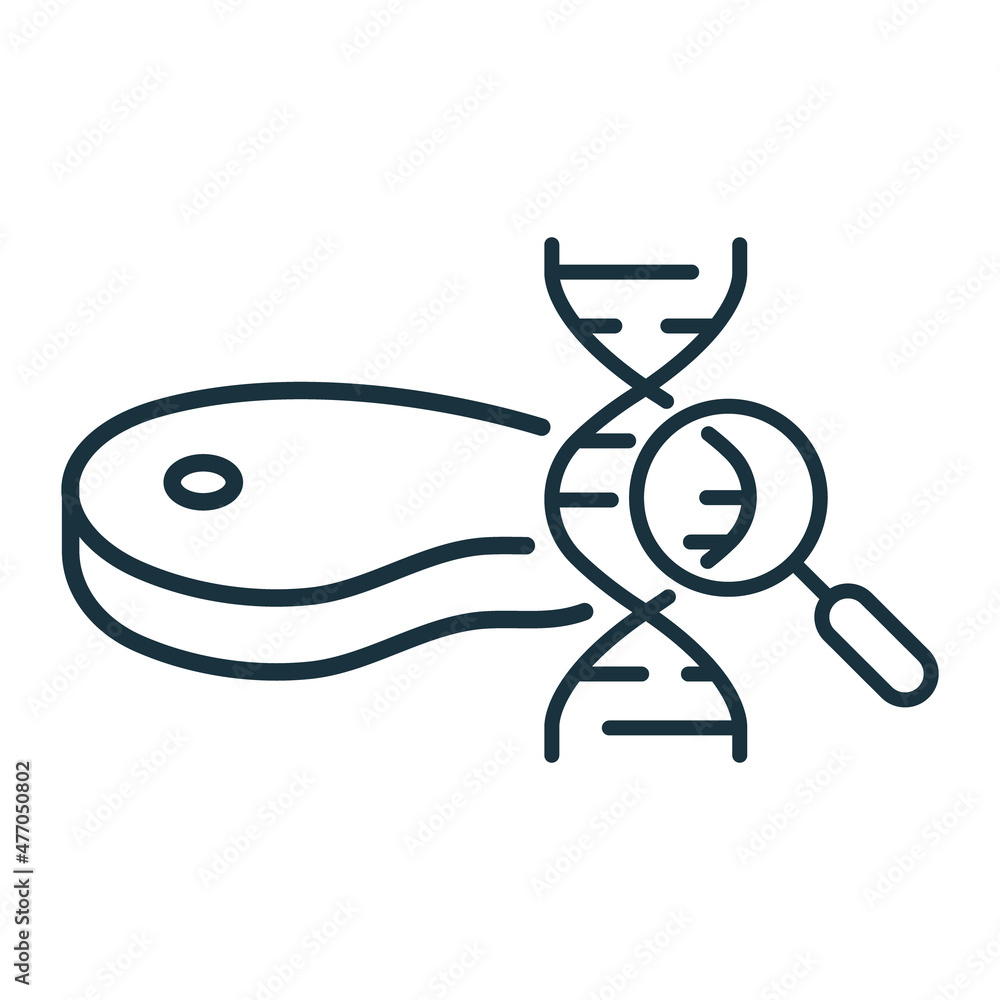 Research of Gene Modified Meat Line Icon. Magnifier, Dna Molecule, Meat Linear Pictogram. Artificial Food Concept. Genetic Cultured Meat Outline Icon. Editable Stroke. Isolated Vector Illustration Research of Gene Modified Meat Line Icon. Magnifier, Dna Molecule, Meat Linear Pictogram. Artificial Food Concept. Genetic Cultured Meat Outline Icon. Editable Stroke. Isolated Vector Illustration