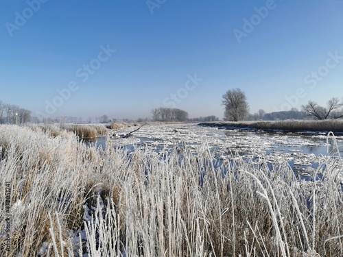 Fototapeta Naklejka Na Ścianę i Meble -  frozen river Warta in winter Poland 