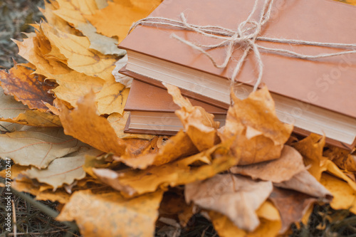 A stack of books lies on a heap of autumn leaves