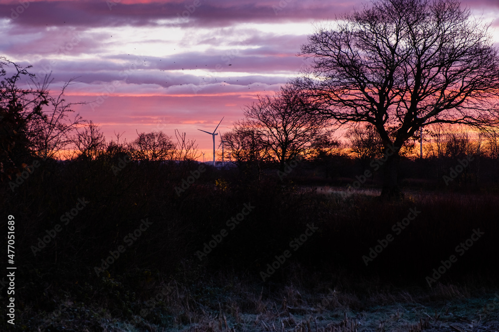 sunrise in the country side 