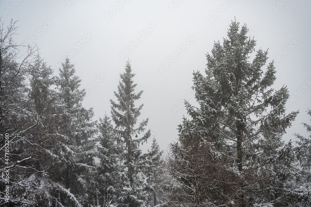 Winterlandschaft am Rennsteig mit Bärenstein bei Oberhof im Schnee
