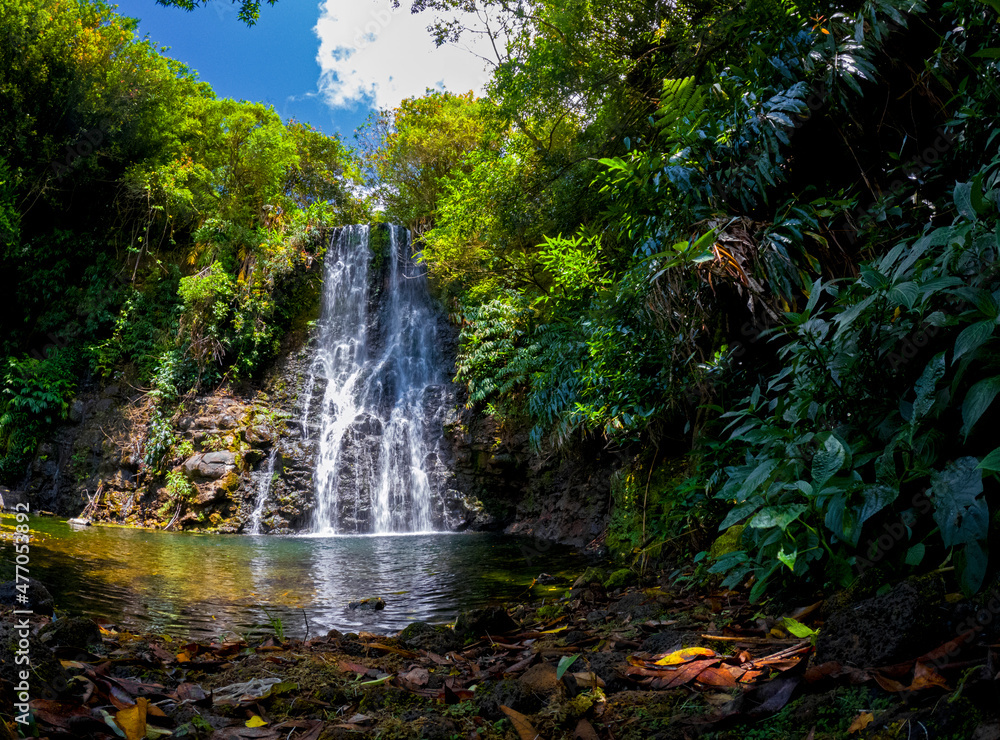 Obraz premium View of a waterfall hidden in a forest located in Mauritius