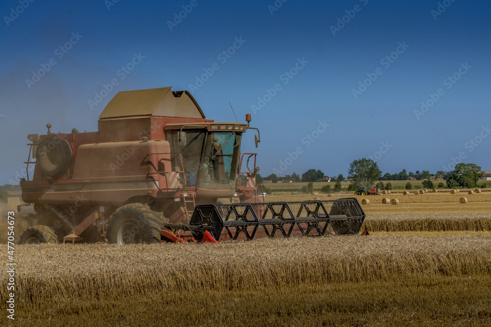 Obraz premium Paysage campagne 1155