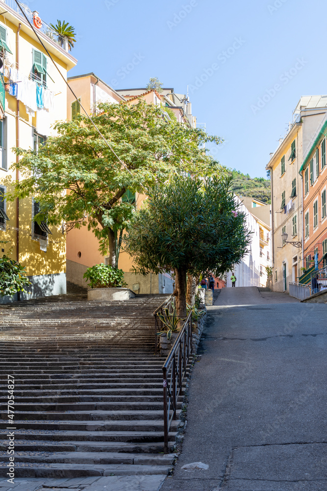 Fototapeta premium Cinque Terre glimpse