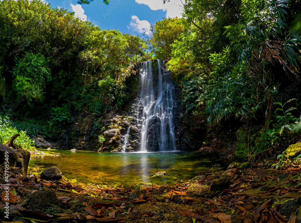 Fototapeta premium Long exposure view of a waterfall hidden in a forest located in Mauritius