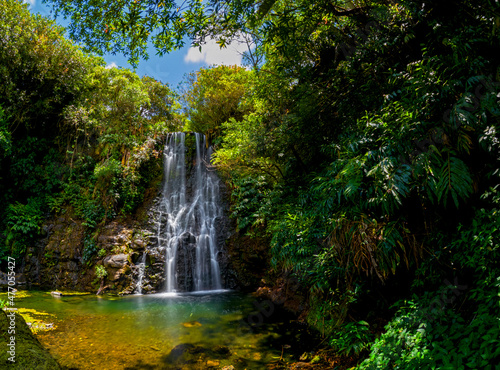 Long exposure view of a waterfall hidden in a forest located in Mauritius
