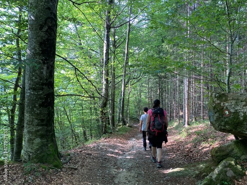 Marked forest trail from the village of Razloge to the karst source of the river Kupa in the region of Gorski kotar - Croatia (Markirana šumska staza od sela Razloge prema kraškom izvoru rijeke Kupe) photo