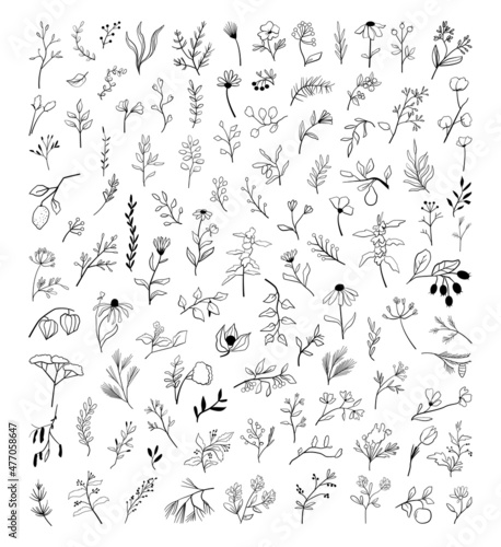 Set of twigs and flowers of herbal plants in doodle style. Sketches for creating patterns, wallpapers, ornaments, tattoos.