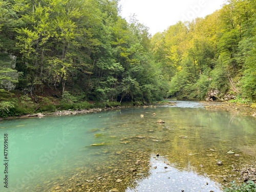 The course of the river Kupa directly below the mountain karst spring - Razloge  Croatia  Tok rijeke Kupe neposredno pod goranskim kr  kim vrelom  Razloge - Gorski kotar  Hrvatska 