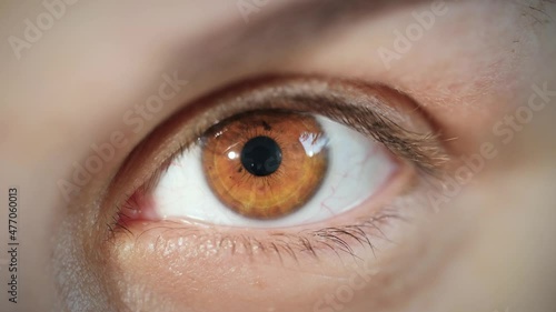 Macro extreme close up beautiful female brown eye with dilated pupil shrinking. Natural portrait of middle eastern model with and smooth skin looking at camera with impressive iris. Slow motion, 4K. photo