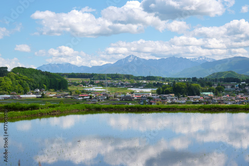 水田に映りこむ羊雲と青空