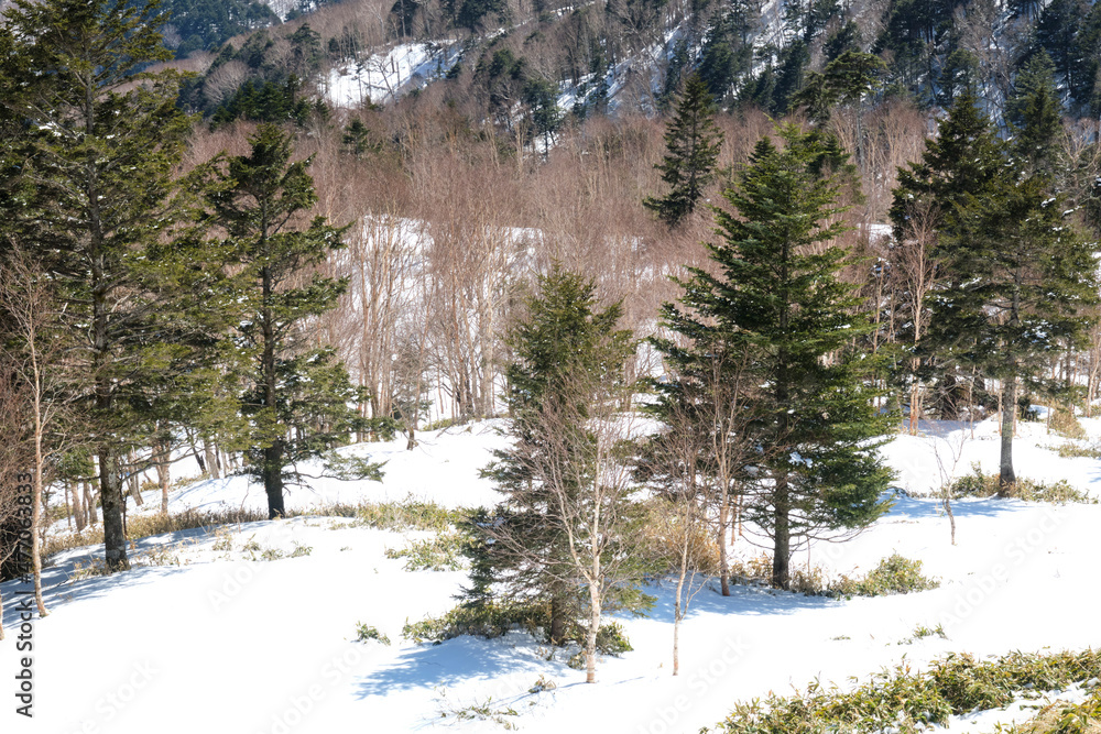 冬の美ヶ原高原から望む風景