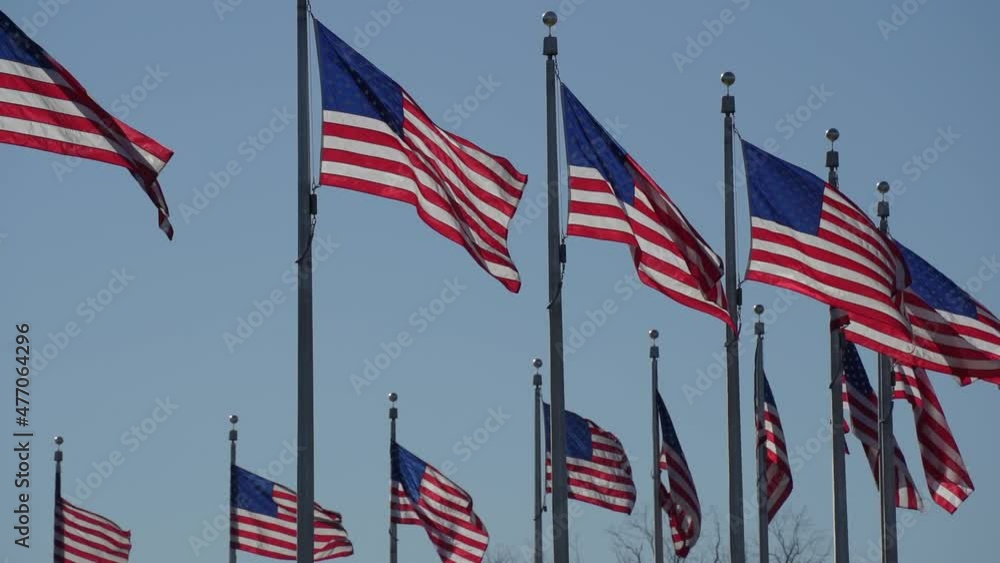 Flags Flag of USA United States of America Flutter and Flap Slow Motion on Clear Blue Sky Background Flags Flag of USA United States of America Flutter and Flap Slow Motion on Clear Blue Sky Background