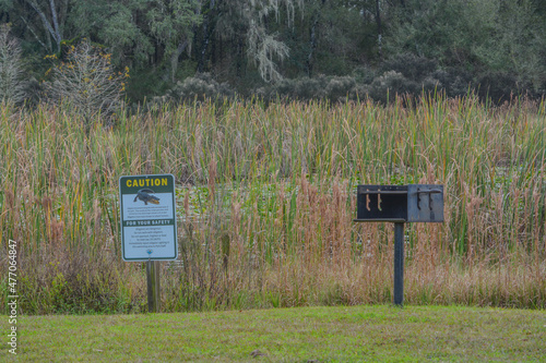 Caution Alligator Sign and a Barbeque to cook up what you catch. In Colt Creek State Park, Lakeland, Polk County, Florida  photo