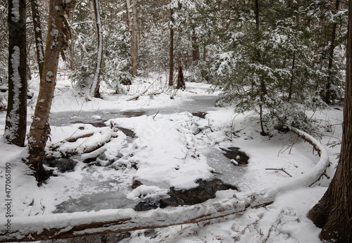 A snow covered forest with a partially frozen creek running through it in December in Muskoka
