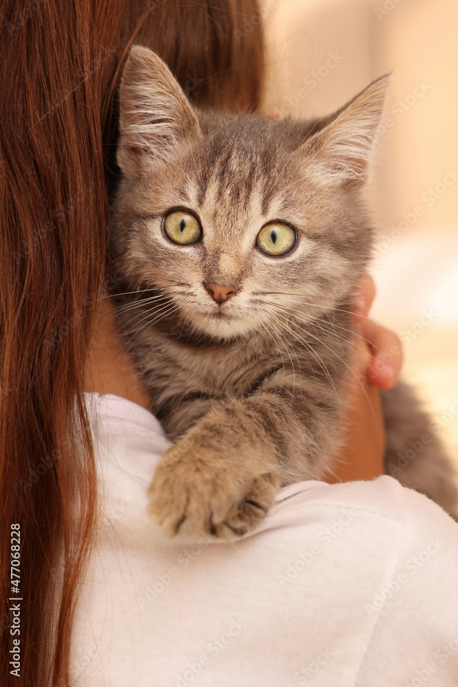 Cute little girl with kitten indoors, back view. Childhood pet Cute little girl with kitten indoors, back view. Childhood pet