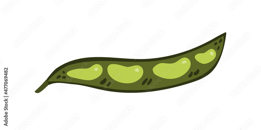 Fresh green bean in doodle style. Hand drawn vector illustration on white background. Fresh green bean in doodle style. Hand drawn vector illustration on white background.