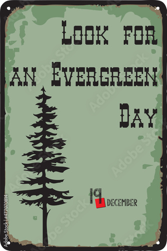 Look for an Evergreen Day