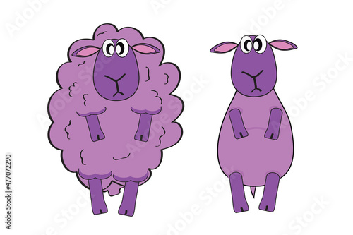 Vector illustration of a purple woolen and shorn sheeps isolated on white background.