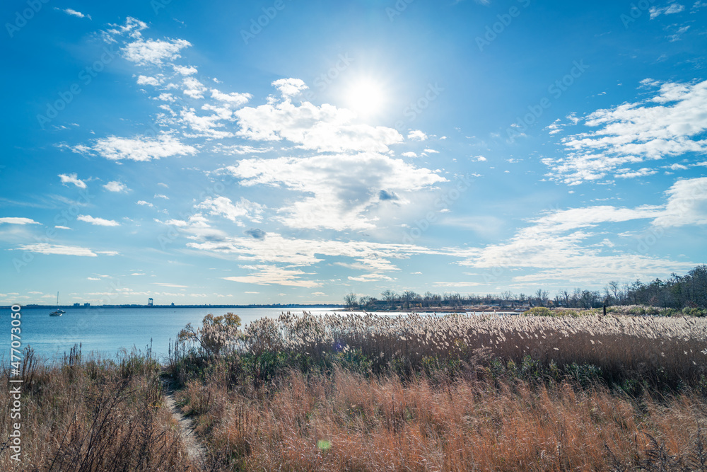 Obraz premium The Landscape of City Island