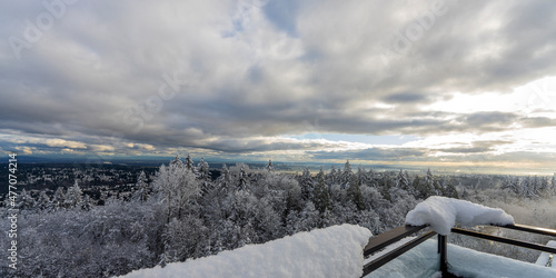 Wallpaper Mural Snow-covered conifers overlooking valley as seen from snowed-in rooftop patio. Torontodigital.ca