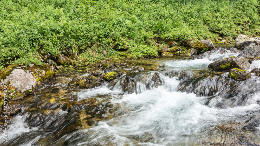 A fast stream flows along a rocky bed. The water is foaming. There is lush green vegetation on the shore. Kamchatka. A fast stream flows along a rocky bed. The water is foaming. There is lush green vegetation on the shore. Kamchatka.