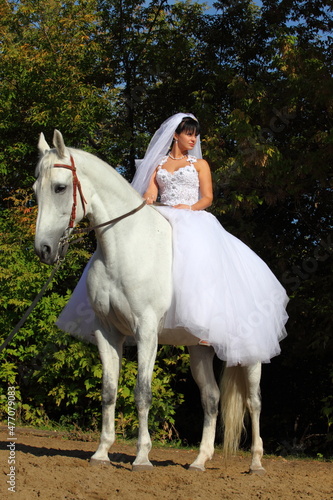 Portrait of beautiful bride with white horse 