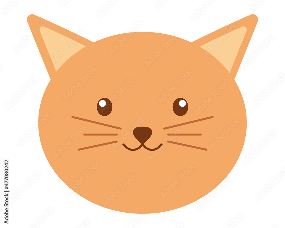 cute cat face cute cat face