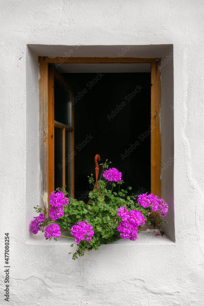 Traditional white wall with yellow frames with beautiful and colorful flowers. Geranium on the windowsill. Beautiful and well maintained windows. Purple flowers.