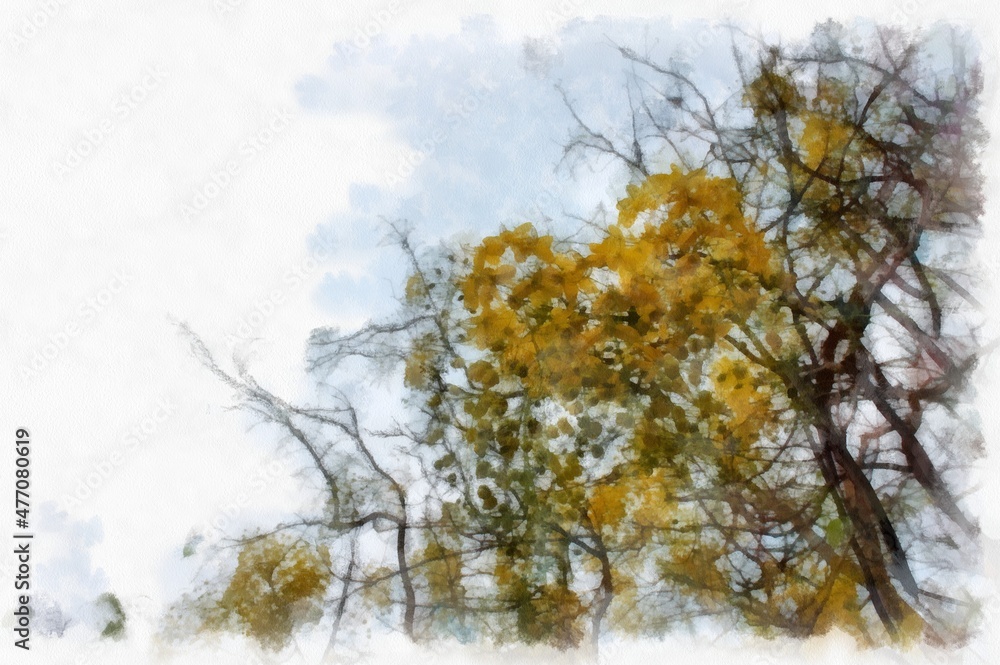 Ratchaphruek tree with a large bunch of yellow flowers. watercolor style illustration impressionist painting. Ratchaphruek tree with a large bunch of yellow flowers. watercolor style illustration impressionist painting.