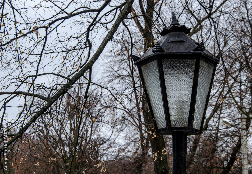 Old street lamps set in monochrome style.